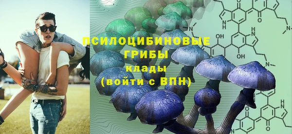 соль ск Богданович